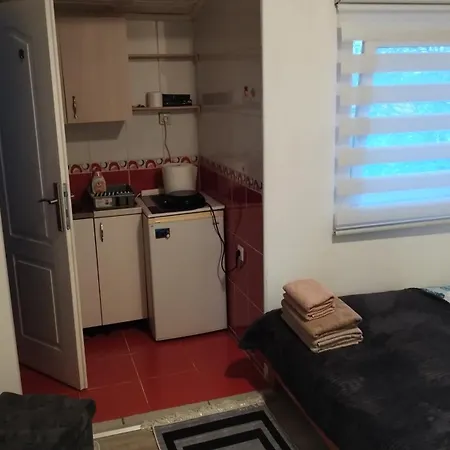 Small Private Bathroom ,strong Internet アパート ベオグラード